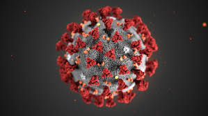 illustration of covid virus