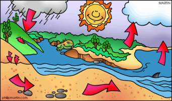 the water cycle