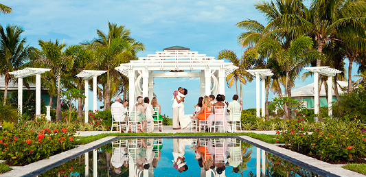 tropical wedding scene